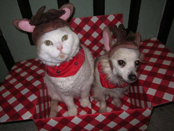 /Images/uploads/Humane Society of Utah/HSUCalendar/entries/611thumb.jpg